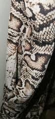 NWT~ HALSTON Brwn/Beige/Blk Animal snake Print Shift Dress V-NeckShortSleeve S/P