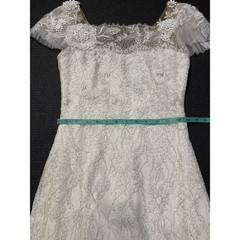 Marchesa Motte Metallic Lace Dress Size 2