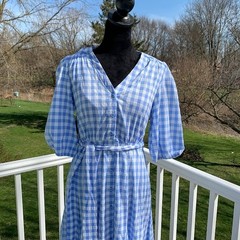 Taylor size 4 Small Blue Gingham Button Front Dress with Bow Silky NWOT