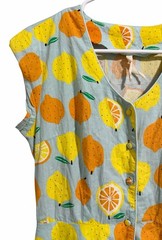 Teeberry & Weave Novelty Fruit Eclectic Art Flare Retro Dress Women’s Size Small