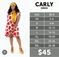NWT Stunning LuLaRoe Small Black Red Green Orange Floral Carly Swing Dress