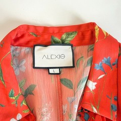 Alexis Irina Button-Up Satin Maxi Dress in Botanical Red Size L