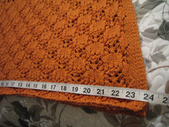 Anthropologie, Orange-Rust, Crochet Knit, Maxi Dress/Topper. Med. NWT