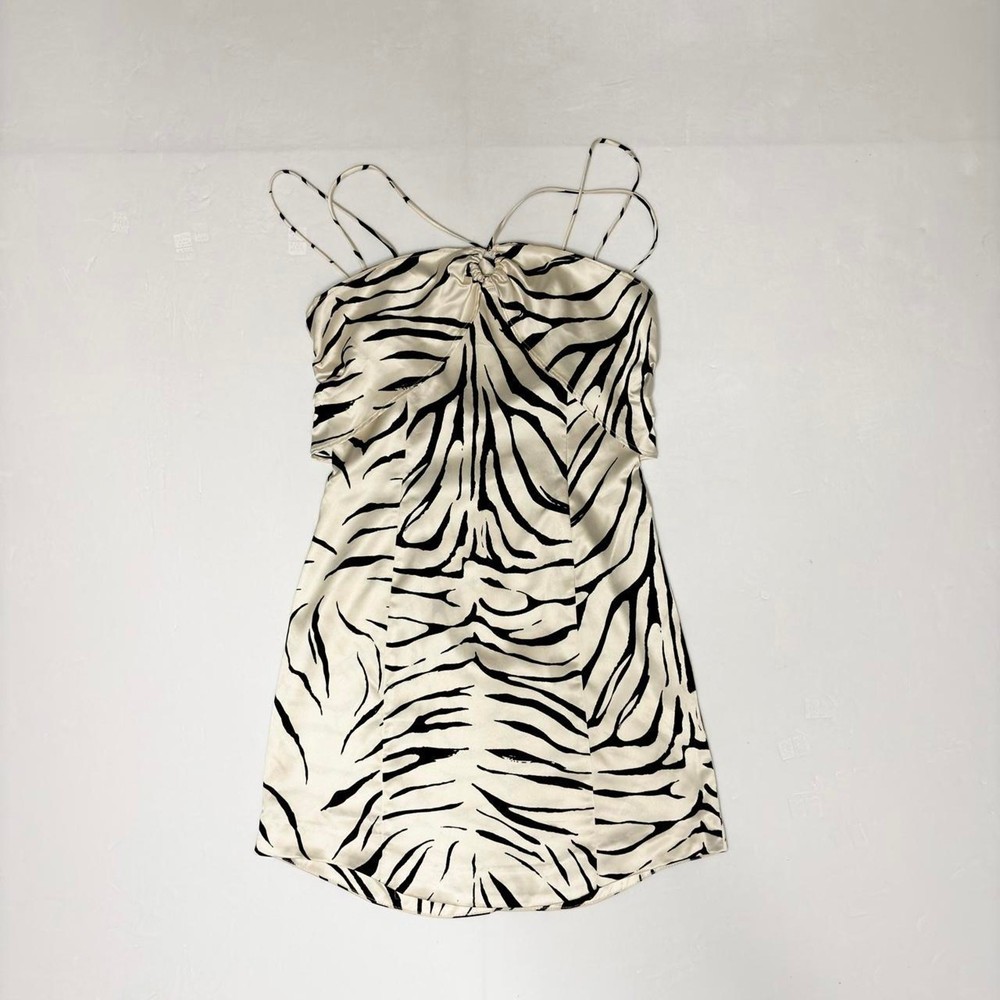 Y2k Aesthetic Zara Satin Slip Dress