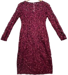 Blu Sage Womens Sequin Lace Cocktail Party Dress Size 6 Maroon Back Zip