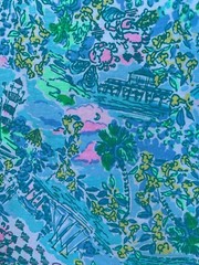 Lilly Pulitzer Kristen Dress Small Blue Lilly Loves South Carolina Sleeveless