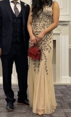 Golddiva London Sleeveless V-Neck blush Sequin Mesh Gown