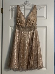 brand new homecoming dress – Size 0, Brand Ed Young – my dreams and more