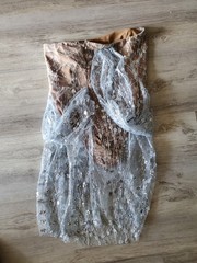 Bella Barnett Women&rsquo;s Mini Dress Mesh Size XL Nude Tones Blue Sequin