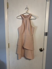 BCBGMaxAzria Blush Pink High-Low Ruffle Dress Size 06