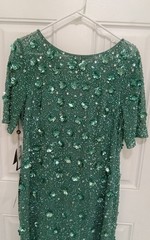 Woman&rsquo;s Dress