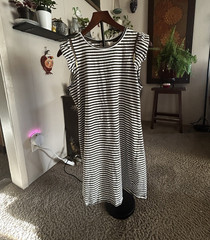 Michael Kors M Black White Striped Sheath Dress Zip Accent Knee Cap Sleeve