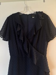 Lovely Tahari dotted swiss fabric