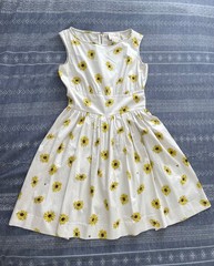Kate Spade Bees & Daisy Dot “Lyric” Dress Sz 2