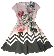 Ted Baker Haiilie Palace Gardens Floral Scalloped Pink Grey Skater Dress US 2