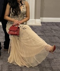 Golddiva London Sleeveless V-Neck blush Sequin Mesh Gown