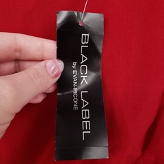 NEW Evan Picone Black Label Dress Womens 18 Plus Red Sheath Knee Length Lined