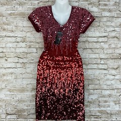 MANER Women&rsquo;s Sequin Glitter Short Sleeve Dress V Neck Mini Party Club Bodycon S