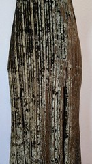 New Anthro Maxi Dress Size Large XL Green Velvet Pleated High Slit Strapless