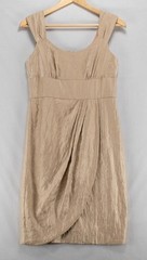 Shimmery Textured Champagne Soft Gold Empire Waist Lined Fitted Women’s 10 Dress