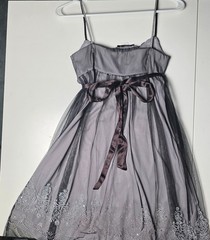 Vtg Y2K Teeze Me Sheer Grey Tulle Slip Dress Silver Embroidery junior Small