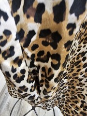 Ellison Button Up Leopard Print Oversized Dress Size Small