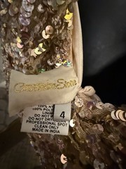 Sequin Cassandra Stone Evening Gown! Prom