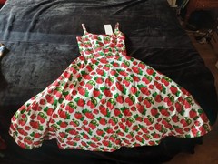 BRAND NEW WITH TAGS – STRAWBERRY DRESS – ONE OF A KIND – DESIGNS BY TATYANA – XS