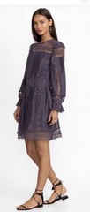 Johnny Was Mitska Lace Mini Dress