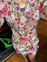 Akira Flower Power Embroidered Mesh Mini 3D Lined Open Back Dress M Retail $160