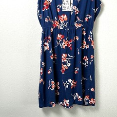 41 Hawthorn Trisha Split Neck Dress Womens Size M Blue Red Floral Sleeveless NWT