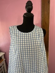 Blue/White Gingham Round Neck Button Sleeveless Knee Length Dress, L