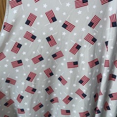 LIBERTY PARK DRESS -M-SHIFT~GRAY W/AMERICAN FLAGS~SLEEVELESS~STRETCH