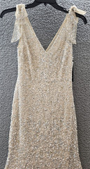 Aidan Mattox Beaded Bow-Shoulders Godet Gown Women&rsquo;s 2 Champagne Zipper Closure