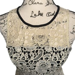 INA – Sleeveless Lace Overlay Dress – Black Lined – Size Small