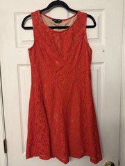 Candalite Dress Petite