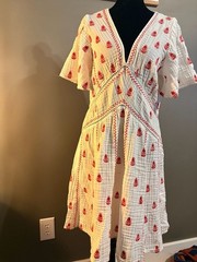 Anthropologie dress – RAGA size large