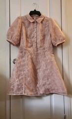Nordstrom Chelsea 28 Size XL Floral Pink SEPIA Embroided Puff Sleeve Mini Dress
