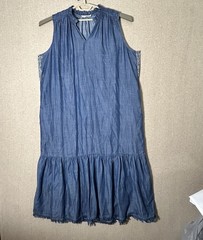 Chicos Maxi Dress Size 4 US 20 XXL Blue Sleeveless Ruched V Neck Fringe Shift