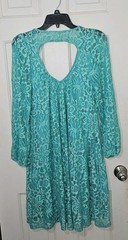 Paisley Raye Dress Size Large A-line Knee Length Floral Lace Overlay Cottagecore