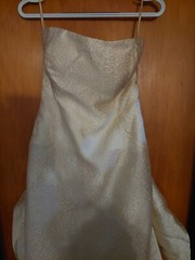 John Paul Ataker Gown (Size 40)