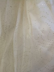 Jessica McClintock for GUNNE SAX Off White Corset & Tulle Wedding Prom Size 7