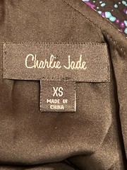 Charlie Jade Women&rsquo;s Size XS One Shoulder Dress Silk Ruffle Black Purple Teal