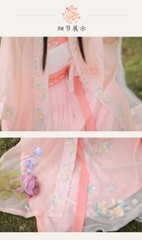 Embroidered Hanfu Gown Suspender Pleated Skirt Female Summer Retro Dress Set