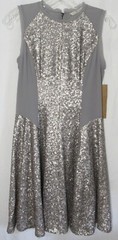 Rachel Roy Gray & Silver Sequined Lined Sleeveless Dress Size 2 NWT