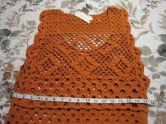 Anthropologie, Orange-Rust, Crochet Knit, Maxi Dress/Topper. Med. NWT