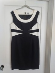 Womens Stylish Black and White Dress by Worthington