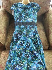 NWT 97% cotton floral bright blue purple black dress sz 6 Another Thyme