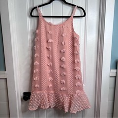 Pink Lily Women&rsquo;s Textured Ruffle Adjustable Straps Mini Dress. Medium. NWOT