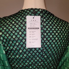 Aomei Multimedia Puff Sleve Fishnet Dress Size Small